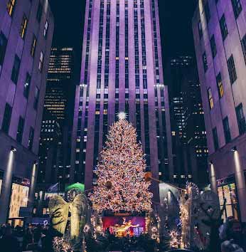 a large Christmas tree outside a building